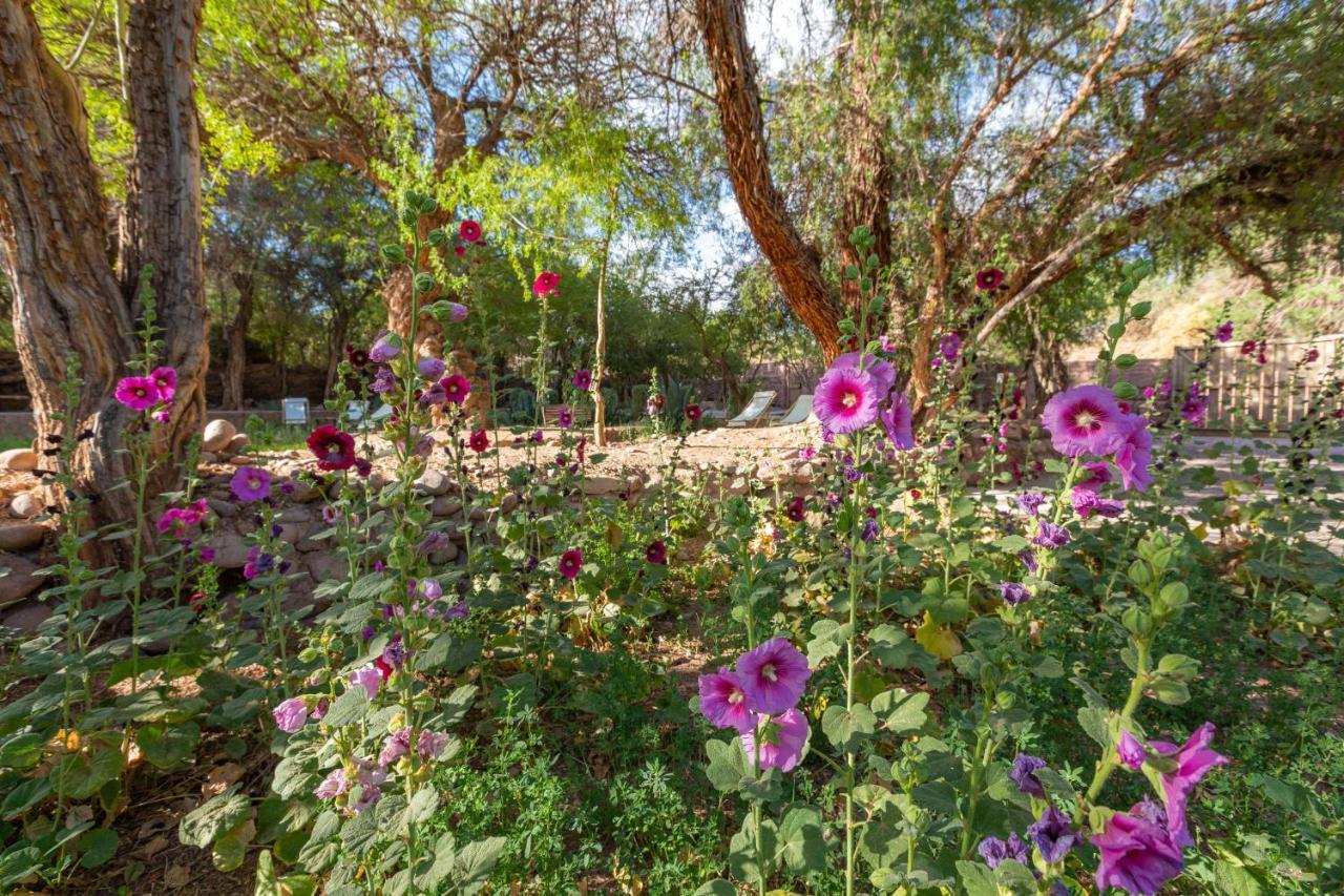 Casa Solcor Boutique Bed & Breakfast San Pedro de Atacama Exterior foto