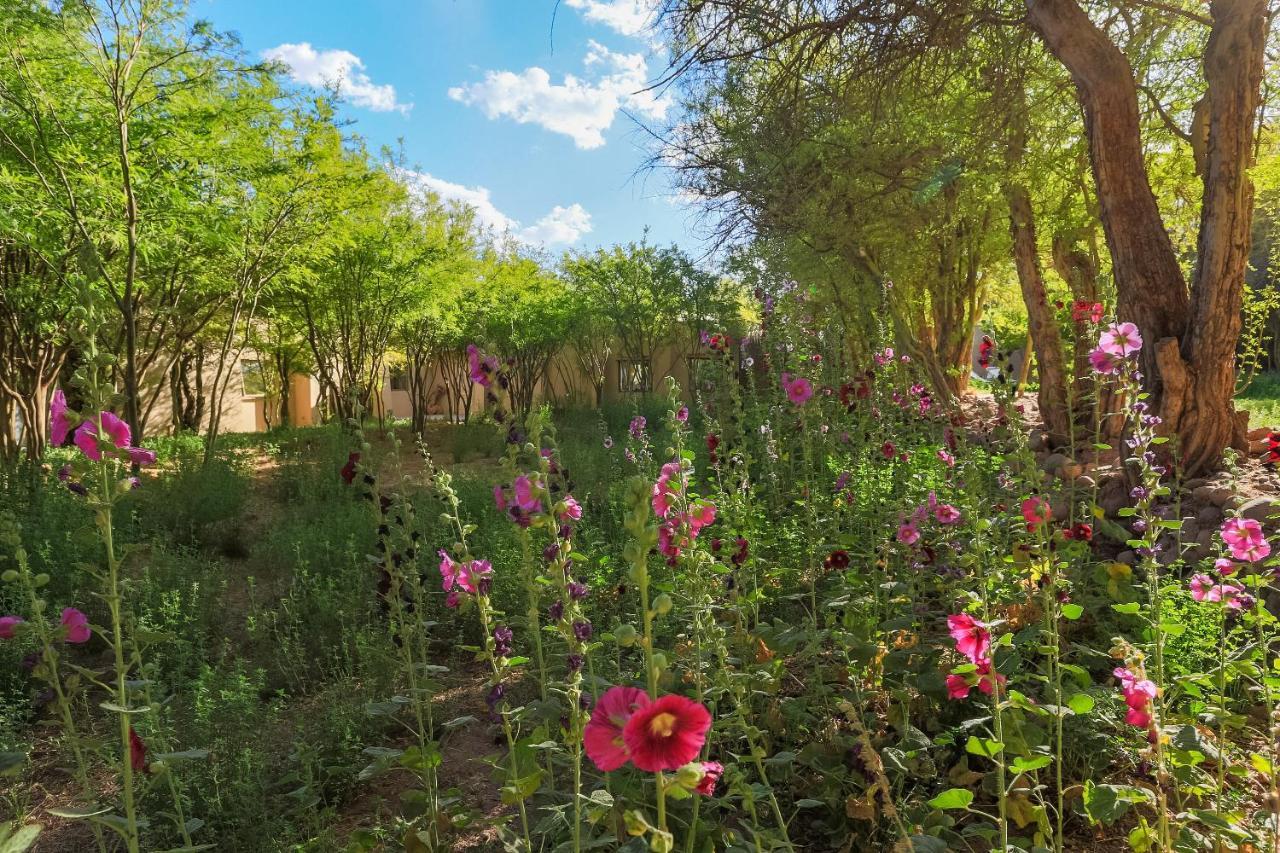 Casa Solcor Boutique Bed & Breakfast San Pedro de Atacama Exterior foto